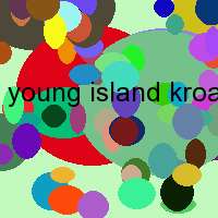 young island kroatien