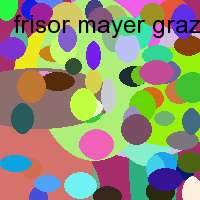 frisor mayer graz