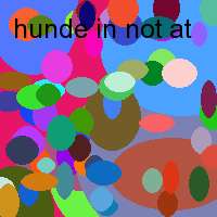 hunde in not at